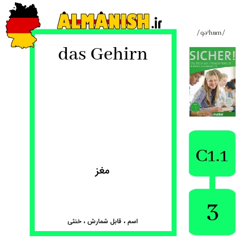 Gehirn به فارسی مغز به آلمانی